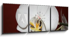 Obraz s hodinami 3D tdln - 150 x 50 cm F_BM3521109 - orchidee