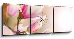 Obraz s hodinami   magnolia, 150 x 50 cm