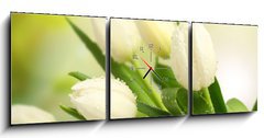 Obraz s hodinami   tulip, 150 x 50 cm