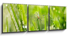 Obraz s hodinami 3D tdln - 150 x 50 cm F_BM35733159 - Morning Dew