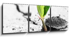Obraz s hodinami   new life, 150 x 50 cm