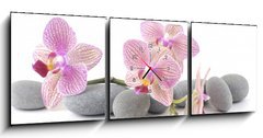 Obraz s hodinami   Still life with pink orchid with gray stones, 150 x 50 cm