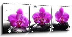 Obraz s hodinami   Three zen stones and three orchids with reflection, 150 x 50 cm