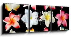 Obraz s hodinami   fleurs frangipanier fond noir, 150 x 50 cm