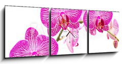 Obraz s hodinami 3D tdln - 150 x 50 cm F_BM37898338 - Tralcio di orchidea