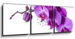 Obraz s hodinami   orchid, 150 x 50 cm