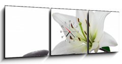 Obraz s hodinami 3D tdln - 150 x 50 cm F_BM3953050 - madonna lily and spa stone - madonna lily a lzesk kmen