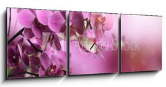 Obraz s hodinami 3D tdln - 150 x 50 cm F_BM39704074 - Orchid flowers composition - Kompozice kvtin orchidej