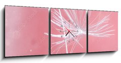 Obraz s hodinami 3D tdln - 150 x 50 cm F_BM399541072 - Dandelion parachutes macro shooting