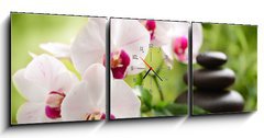 Obraz s hodinami   spa concept, 150 x 50 cm
