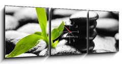 Obraz s hodinami   orchid, 150 x 50 cm