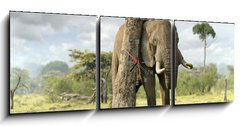 Obraz s hodinami   African elephants, 150 x 50 cm