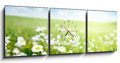 Obraz s hodinami 3D tdln - 150 x 50 cm F_BM40565280 - field of daisy flowers