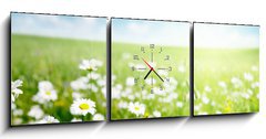 Obraz s hodinami 3D tdln - 150 x 50 cm F_BM40565280 - field of daisy flowers - pole sedmikrsky