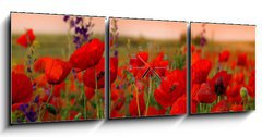 Obraz s hodinami 3D tdln - 150 x 50 cm F_BM40720767 - Field of poppies on a sunset