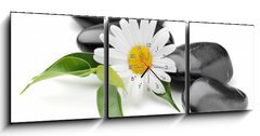 Obraz s hodinami 3D tdln - 150 x 50 cm F_BM40752804 - orchid