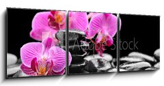 Obraz s hodinami 3D tdln - 150 x 50 cm F_BM40752844 - orchid