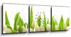 Obraz s hodinami 3D tdln - 150 x 50 cm F_BM40774643 - Weie Tulpen