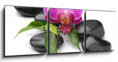 Obraz s hodinami 3D tdln - 150 x 50 cm F_BM40893585 - orchid