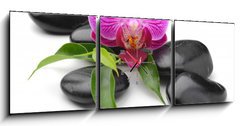 Obraz s hodinami 3D tdln - 150 x 50 cm F_BM40893585 - orchid - orchidej