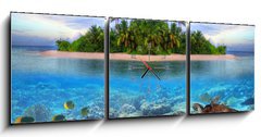 Obraz s hodinami 3D tdln - 150 x 50 cm F_BM40914644 - Marine life at tropical island of Maldives - Mosk ivot na tropickm ostrov Maledivy