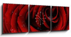 Obraz s hodinami 3D tdln - 150 x 50 cm F_BM41252585 - Red rose closeup