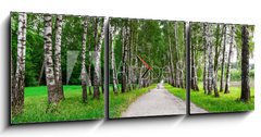 Obraz s hodinami 3D tdln - 150 x 50 cm F_BM41548015 - path in birch forest