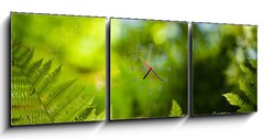 Obraz s hodinami 3D tdln - 150 x 50 cm F_BM419413555 - Green fresh fern leafs in a forest with trees in the background and a blue sky
