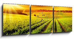 Obraz s hodinami 3D tdln - 150 x 50 cm F_BM42395057 - Stunning Vineyard Sunset