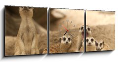 Obraz s hodinami   Portrait group of meerkat, 150 x 50 cm