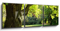 Obraz s hodinami 3D tdln - 150 x 50 cm F_BM42887585 - Mighty oak tree