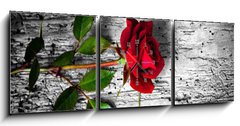 Obraz s hodinami 3D tdln - 150 x 50 cm F_BM43494940 - rosa rossa su fondo b/n