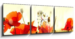 Obraz s hodinami 3D tdln - 150 x 50 cm F_BM43890892 - mak