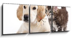 Obraz s hodinami 3D tdln - 150 x 50 cm F_BM43955871 - Cat and dog