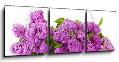 Obraz s hodinami   beautiful lilac flowers in basket isolated on white, 150 x 50 cm