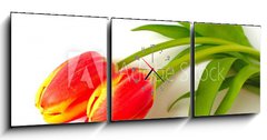 Obraz s hodinami 3D tdln - 150 x 50 cm F_BM4410361 - tulpen - tulips