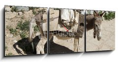 Obraz s hodinami 3D tdln - 150 x 50 cm F_BM44262409 - Esel von trauriger Gestalt