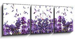 Obraz s hodinami   fresh lavender flowers on white, 150 x 50 cm