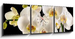 Obraz s hodinami   White orchids on the black background, 150 x 50 cm