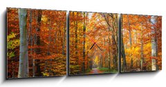 Obraz s hodinami 3D tdln - 150 x 50 cm F_BM44662629 - Pathway in the autumn forest - Cesta v podzimnm lese
