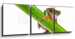 Obraz s hodinami   Green Frog with red eye., 150 x 50 cm