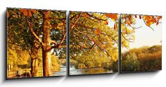 Obraz s hodinami 3D tdln - 150 x 50 cm F_BM45108931 - Beautiful Autumn in the park