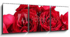 Obraz s hodinami 3D tdln - 150 x 50 cm F_BM46400536 - beautiful red roses and petals isolated on white