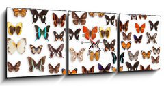 Obraz s hodinami 3D tdln - 150 x 50 cm F_BM46470295 - butterflies - motly