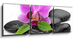 Obraz s hodinami 3D tdln - 150 x 50 cm F_BM48780940 - orchid