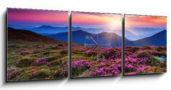 Obraz s hodinami   flower, 150 x 50 cm