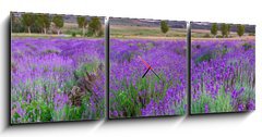 Obraz s hodinami 3D tdln - 150 x 50 cm F_BM49777064 - Sunset over a summer lavender field in Tihany, Hungary