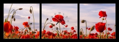 Obraz s hodinami 3D tdln - 150 x 50 cm F_BM499070572 - Anzac Day memorial poppies. Field of red poppy flowers to honour fallen veterans soldiers in battle of Anzac armistice day. Wildflowers blooming poppy field landscape. Meadow with flowers.
