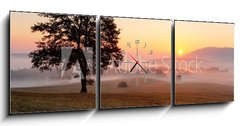 Obraz s hodinami 3D tdln - 150 x 50 cm F_BM50398429 - Alone tree on meadow at sunset with sun and mist - panorama