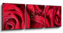 Obraz s hodinami 3D tdln - 150 x 50 cm F_BM50422601 - Red rose.